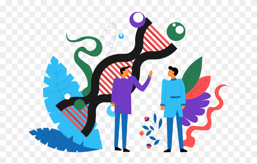 Graphic Of Scientists Examining A Dna Strand - Illustration Clipart
