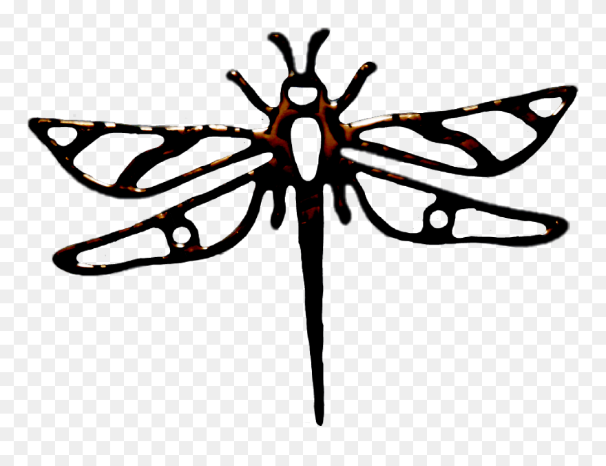 #dragonfly
#freetoedit Clipart
