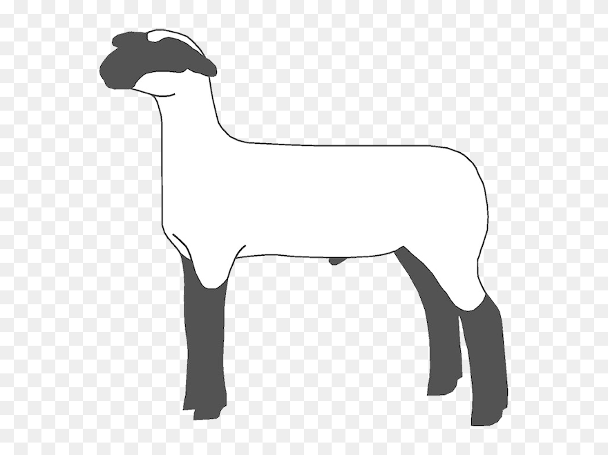 Sheep Goat Cattle Clip Art Mammal - Show Lamb Clip Art - Png Download