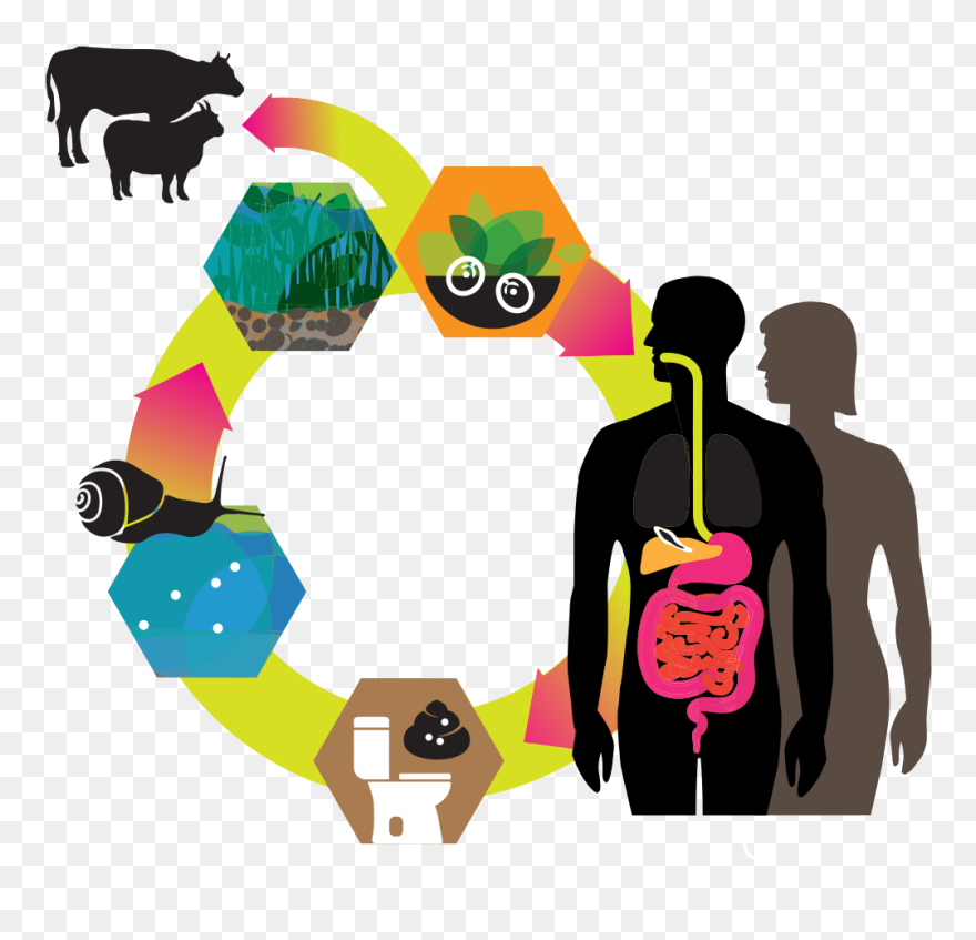 Illustration Clipart