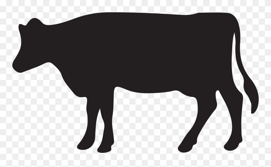 Cattle Clipart