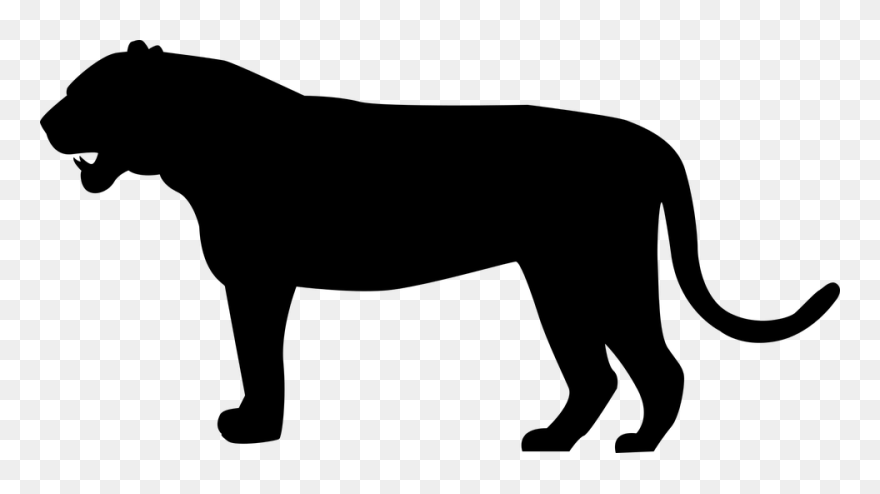 Paws Clipart Panther - Tiger Silhouette Png Transparent Png