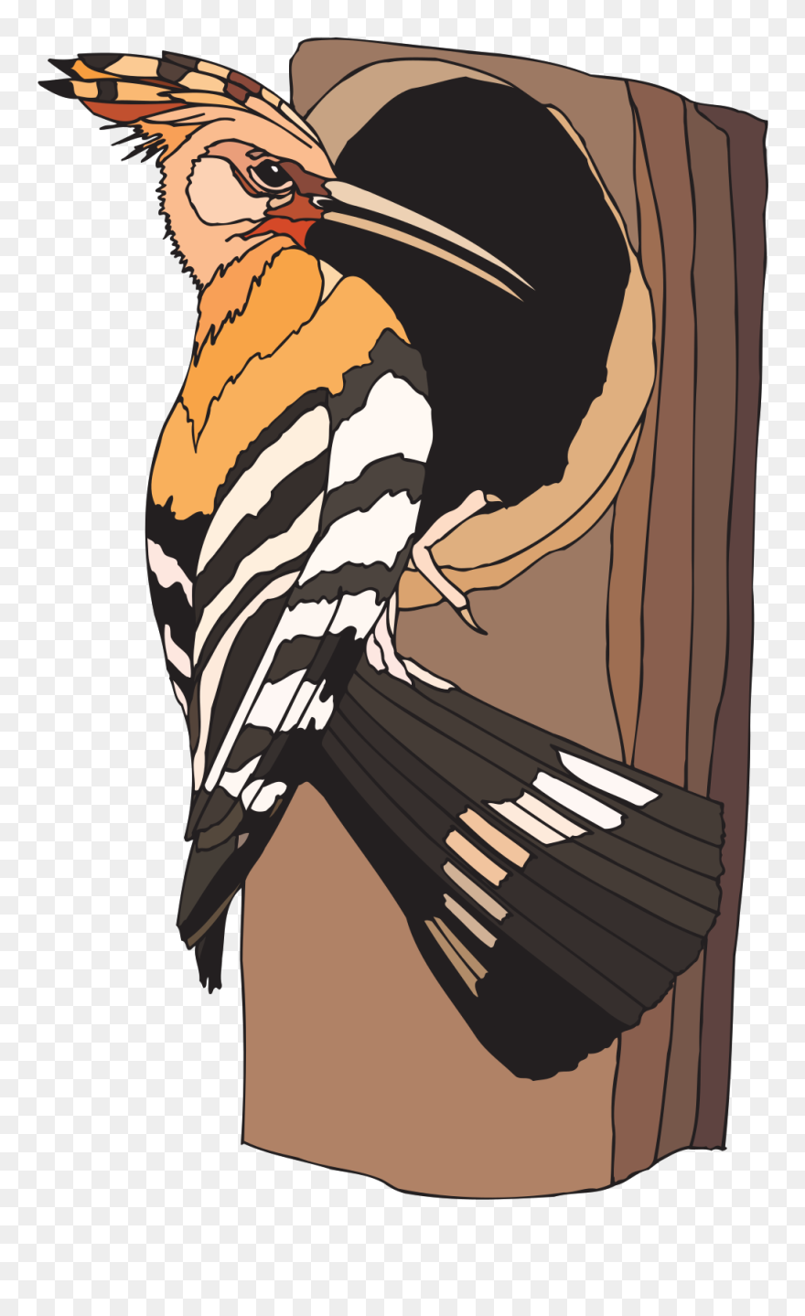 Woodpecker Clipart - Png Download