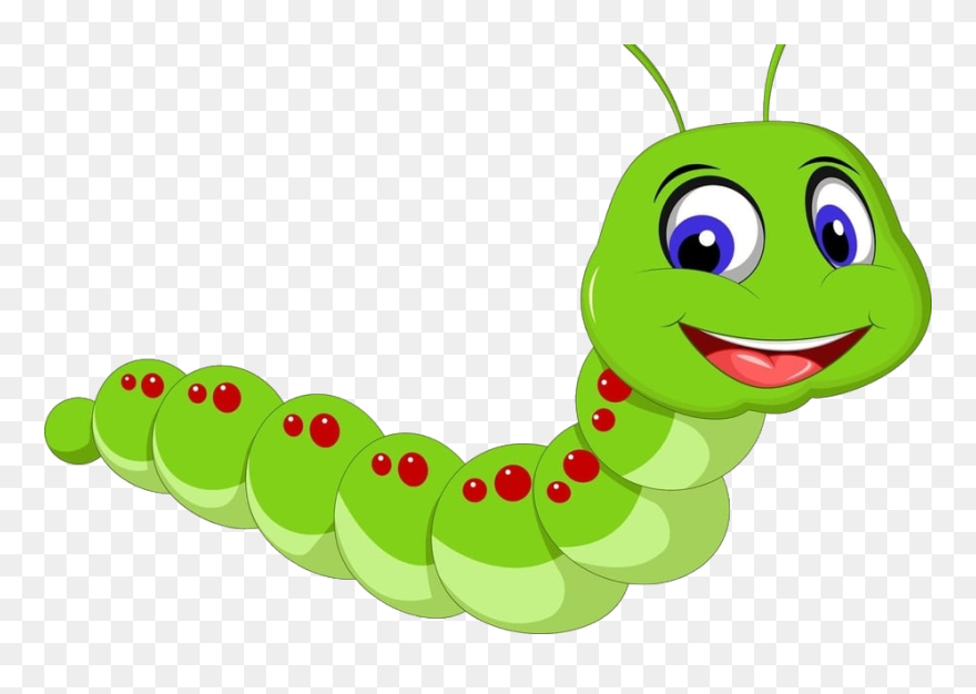 Caterpillar Png - Transparent Background Caterpillar Clipart Png