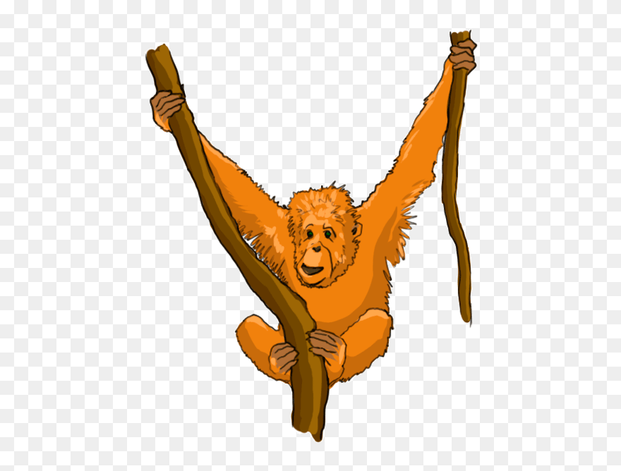 Cartoon Orangutan - Orangatan Cartoon Transparent Clipart