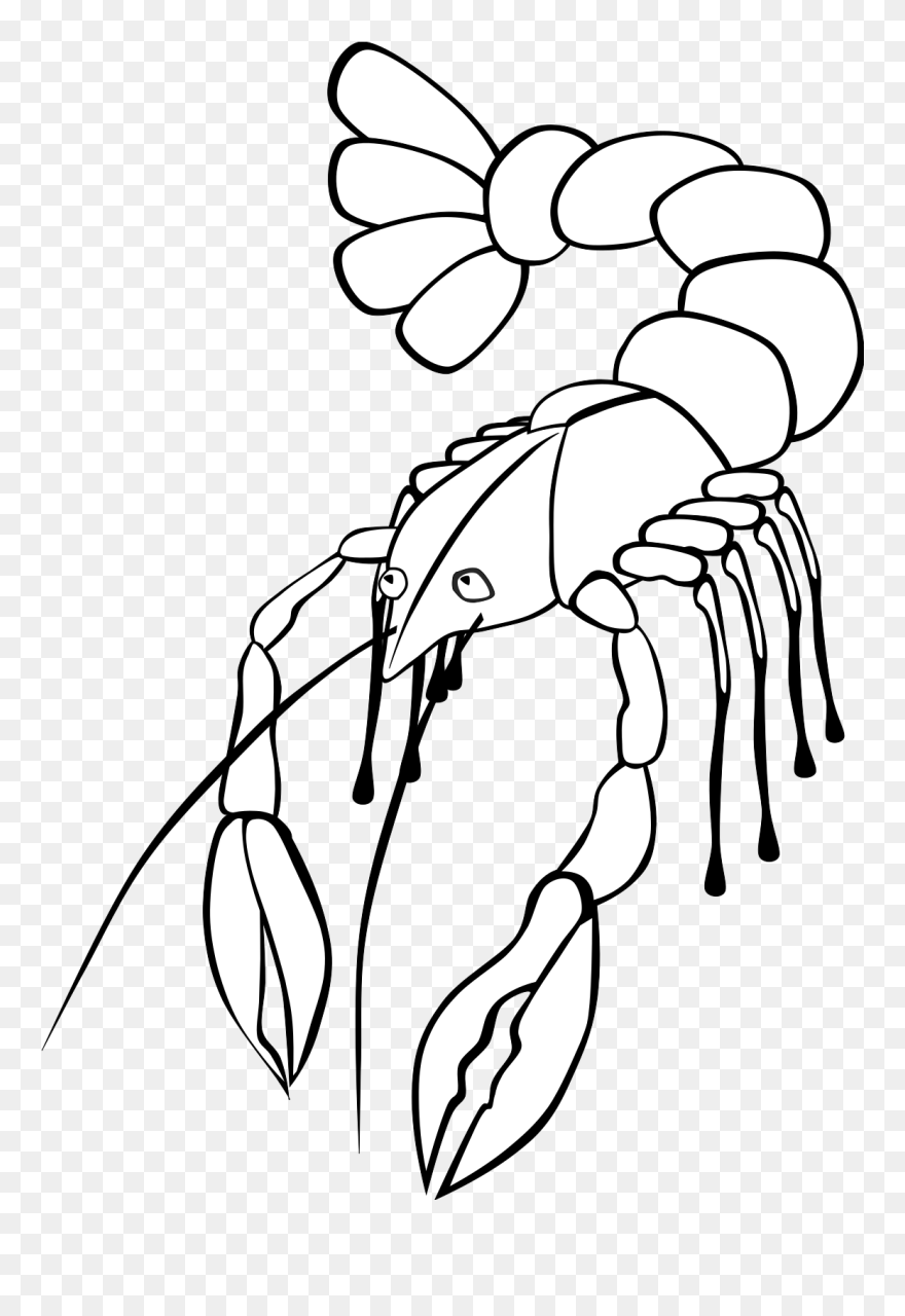 Crawfish Clip Art - Png Download