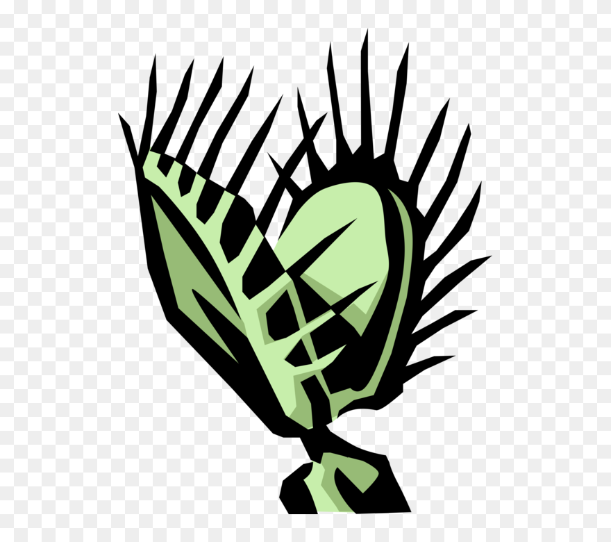Download Vector Flytrap Transparent & Png Clipart Free Download - Venus