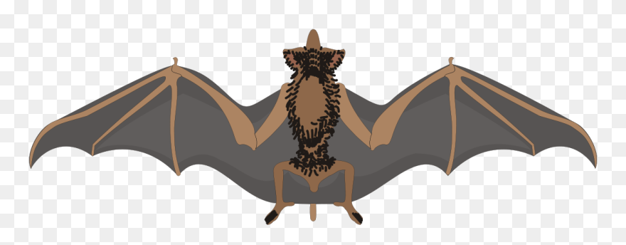 File - Bat Clipart - Svg - Bat With Wings Spread - Png Download