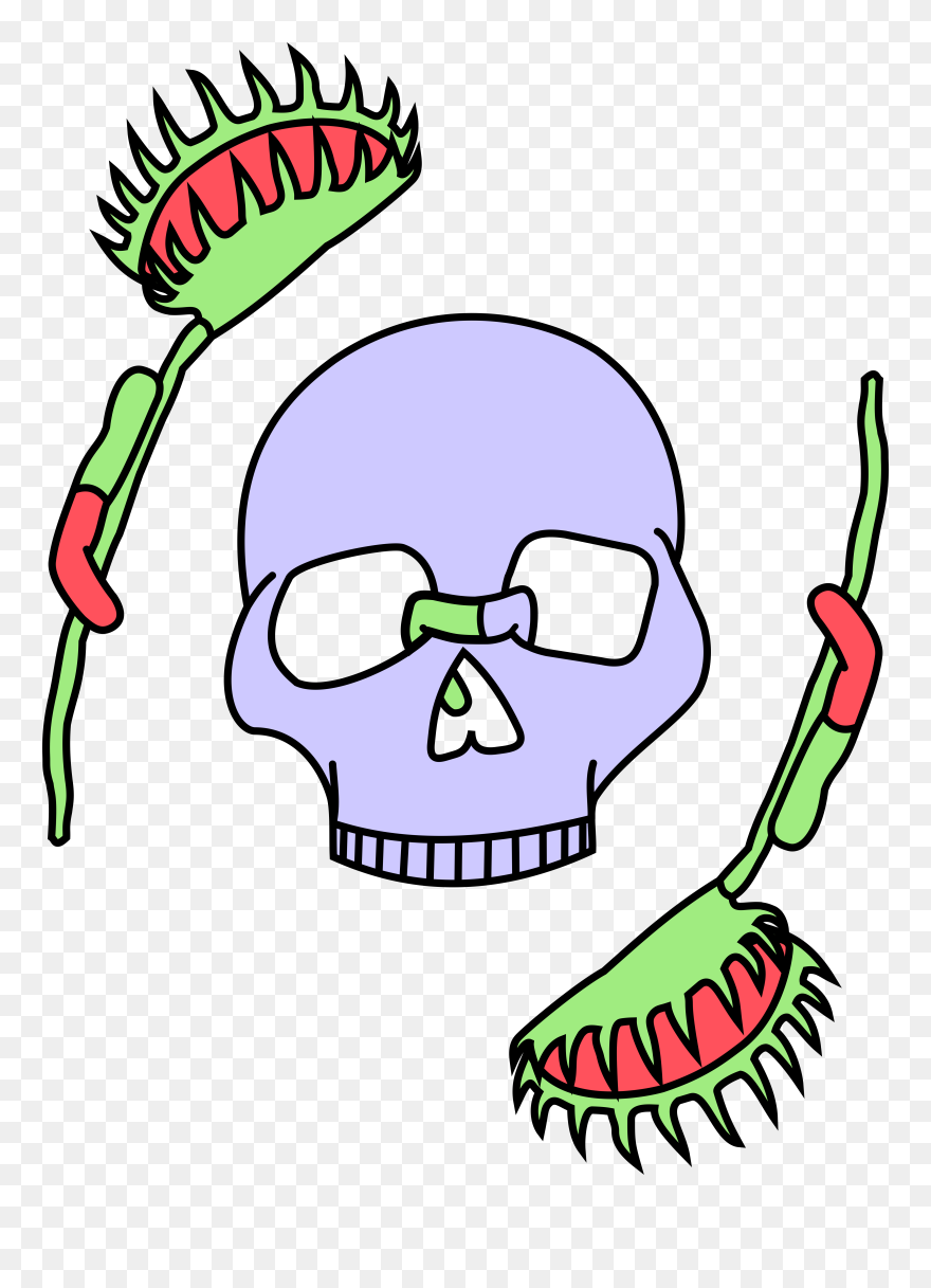 A Lavendar Skull Framed By Two Venus Fly Traps, All Clipart