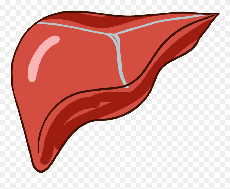 Clip Art - Png Download