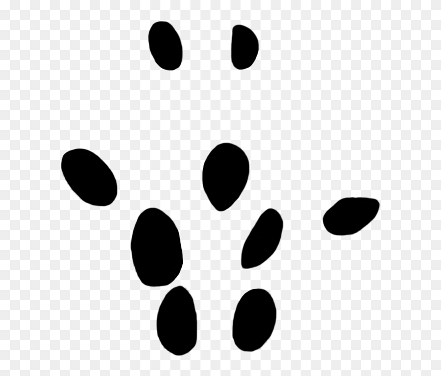 Field Vole Paw Print 10 Mm - Clip Art - Png Download