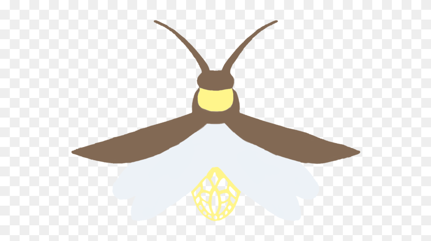 Firefly Transparent Background Clipart