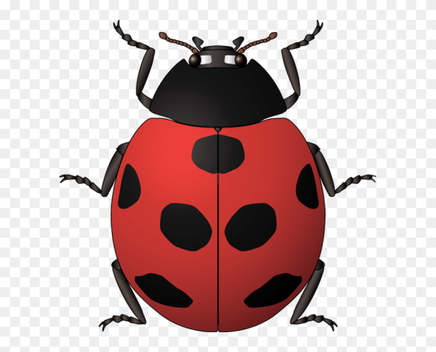 Vintage Kids Bug Clipart Royalty Free Hd Ladybug Clipart - Clipart Insects For Kids - Png Download