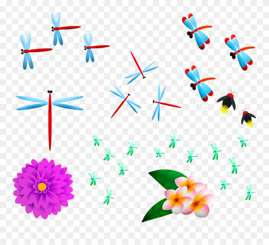 Transparent Firefly Insect Clipart - Clip Art - Png Download