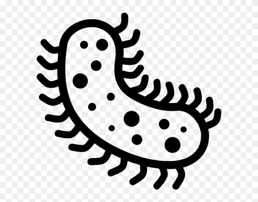 Free Icon Designed By - Transparent Background Bacteria Clipart - Png Download