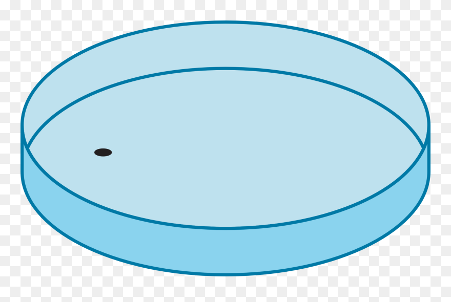 Transparent Lab Equipment Clipart - Чашка Петри Рисунок - Png Download