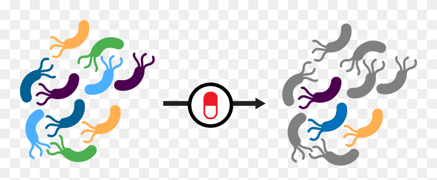 Antibiotic Resistant Bacteria Clipart - Png Download