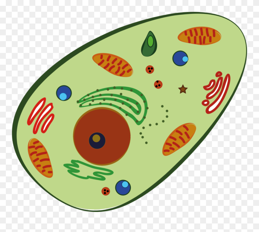 Mitochondria Transparent Sad, Picture - Cell Clipart Png