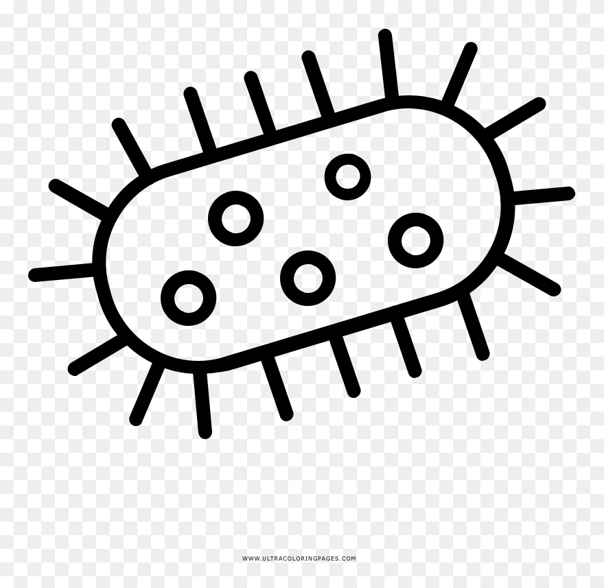 Bacteria Coloring Page Alumni Management System Architecture Clipart 5696914 Pinclipart