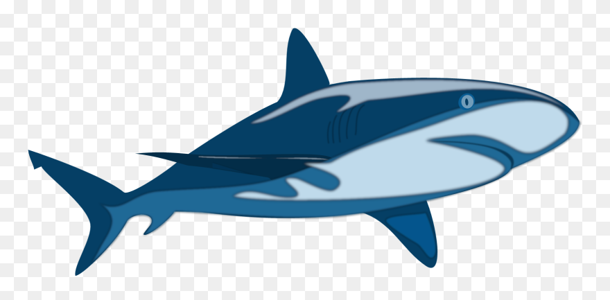 Herbivore Definition Biology Examples Clipart