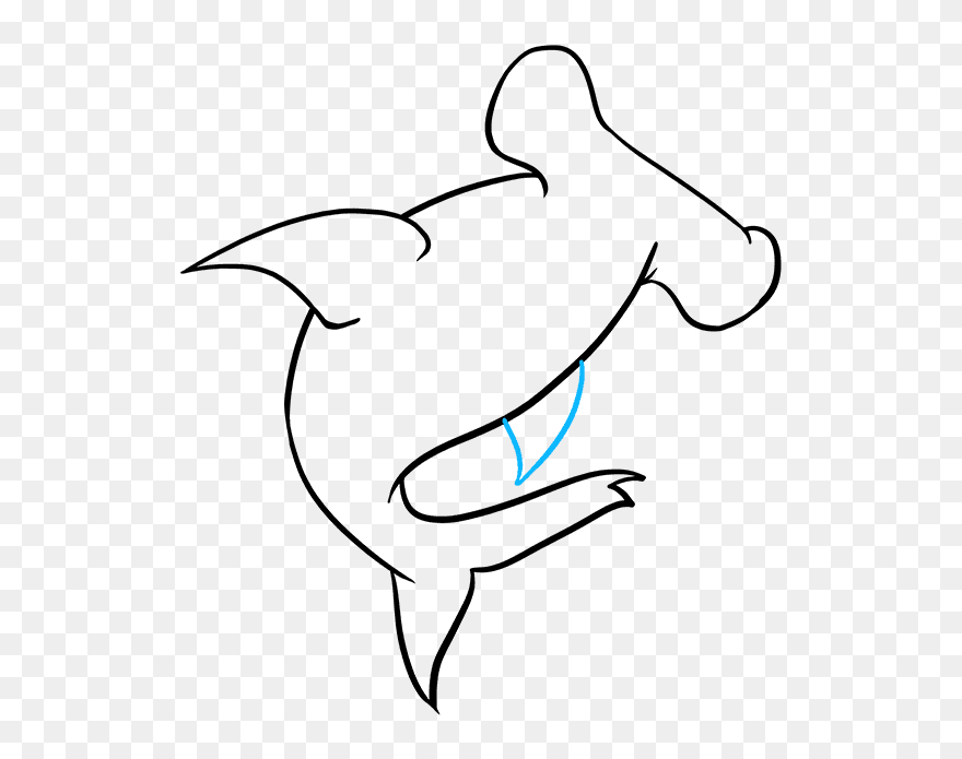 Drawing Shark Body Transparent Png Clipart Free Download - Drawing