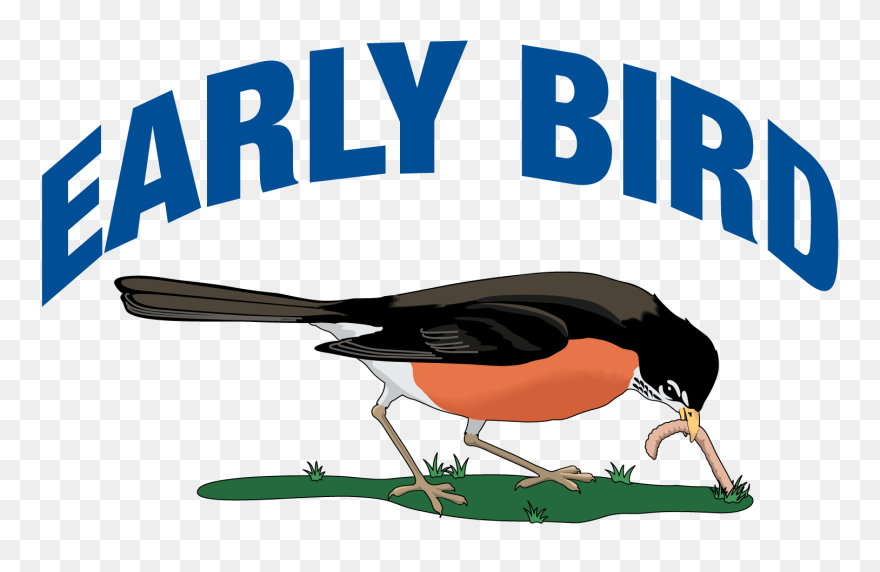 Travel Insurance Clipart Health Talk - Songbird - Png Download