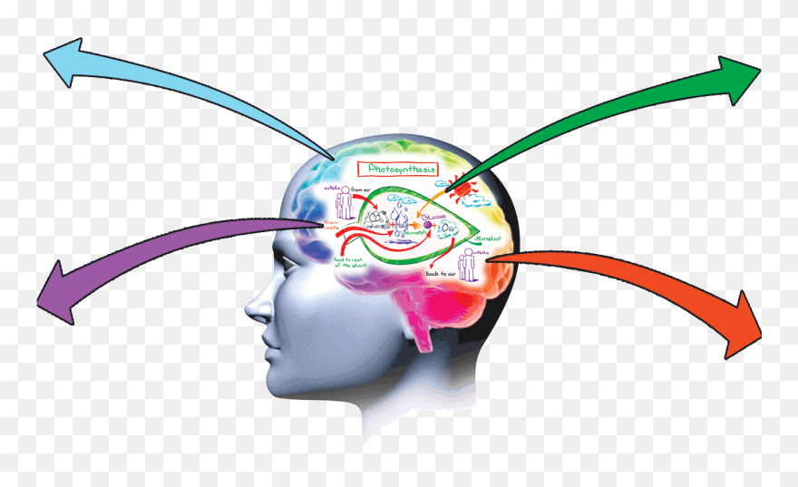 The Memory Guru Of India - Memory Clipart Free - Png Download