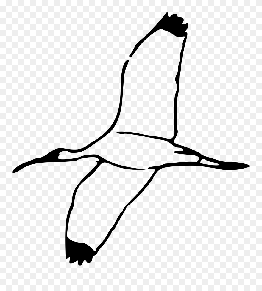 Bird Flying Clipart Black And White - Png Download