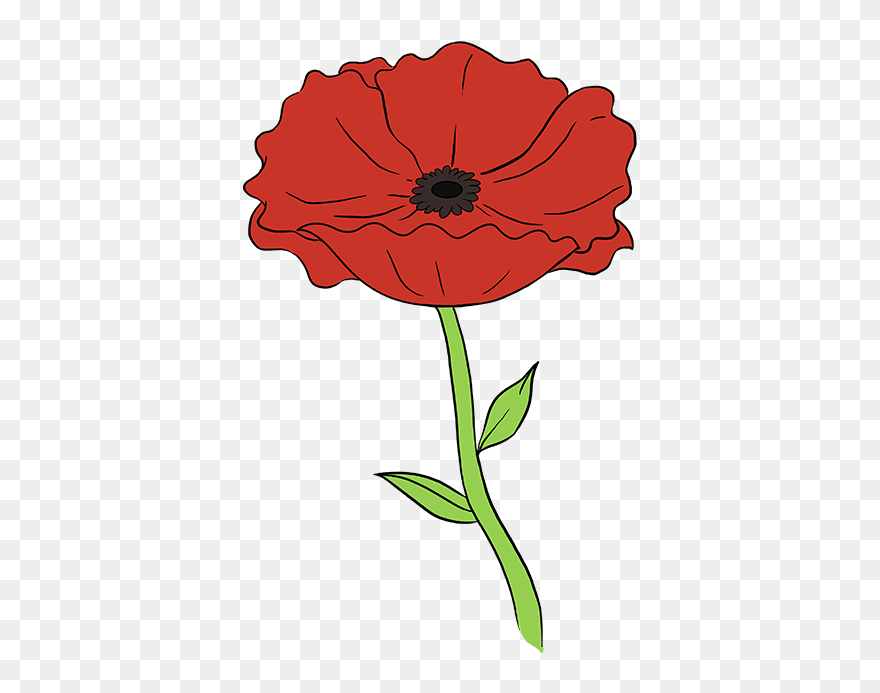 How To Draw Poppy - Draw A Poppy Step By Step Clipart