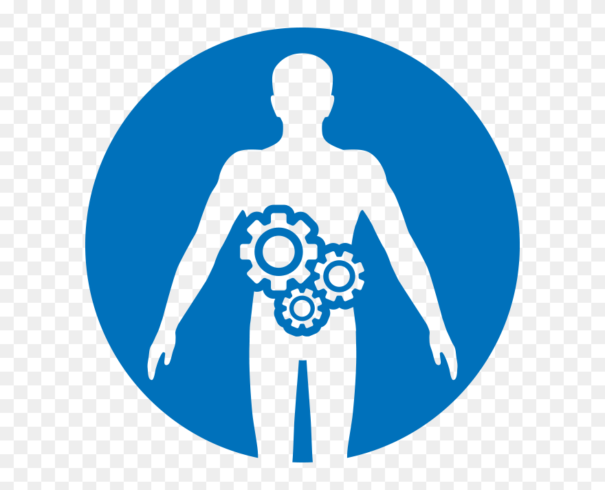 Icon Digestive Health Clipart