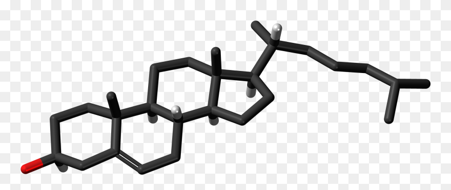 Cholesterol Molecule Skeletal - Cholesterol Molecue Clipart - Png Download