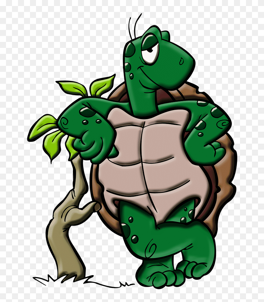 Turtles Head T Shirt Clipart