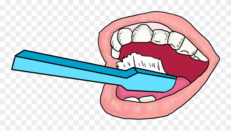 Brushing Cleaning Dental Hygiene - Brush Teeth Transparent Background Clipart