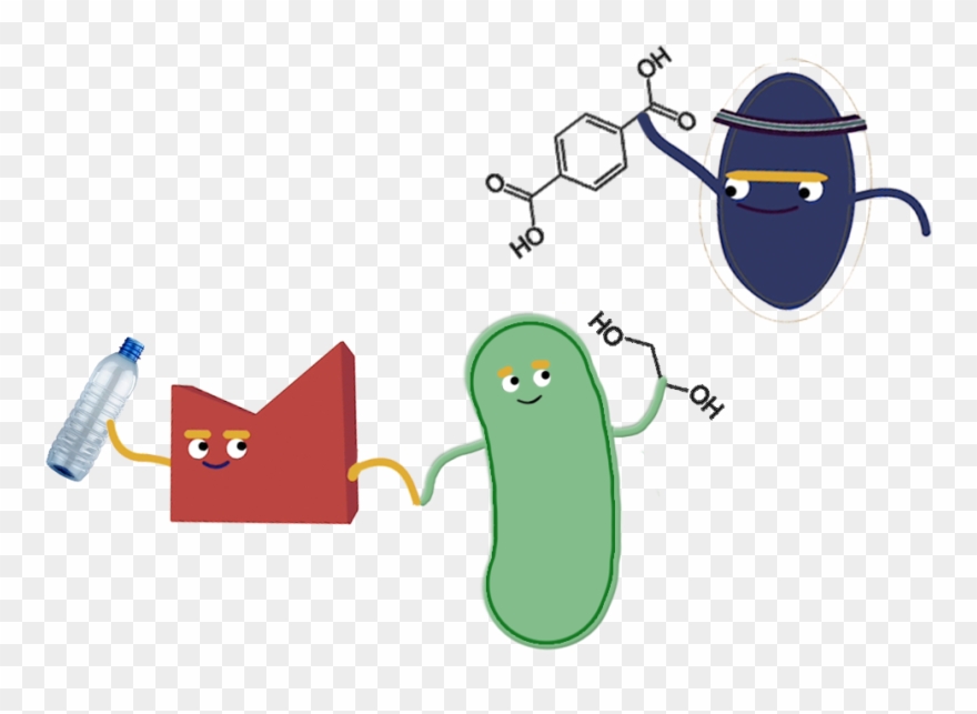 Engineering Clipart Genetic Engineering - Biodegradation Clip Art - Png Download