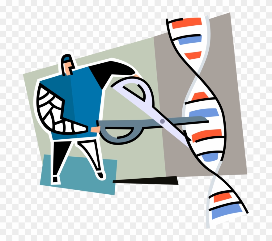 Engineering Clipart Genetic Engineering - Dna Cortar E Colar - Png Download
