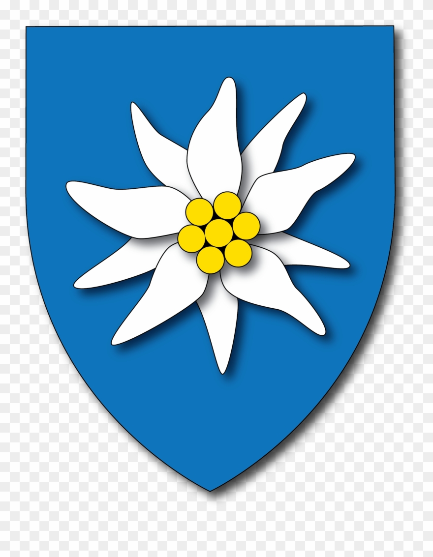 Le Pied De Lion - Capa Do Dvd Monaco Forever Clipart