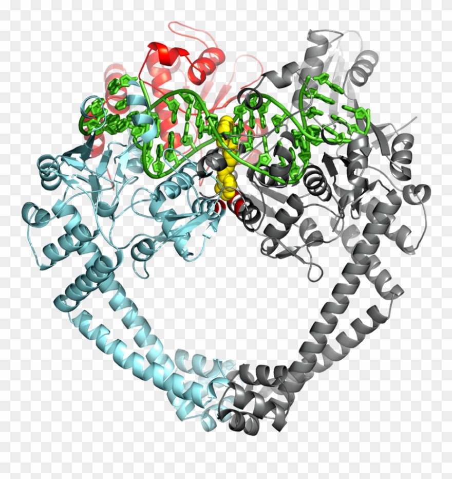 The Structure Was Published In The Journal Nature - Graphic Design Clipart