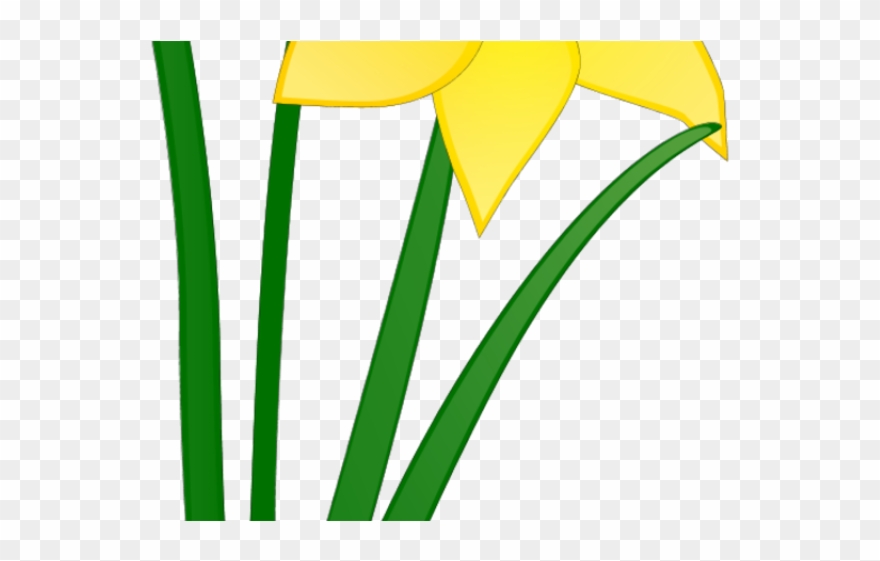Daffodil Clipart Wind - Png Download