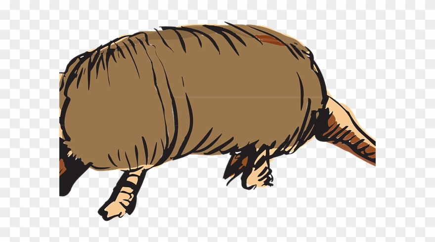 Armadillo Clipart Vector - Punxsutawney Phil - Png Download