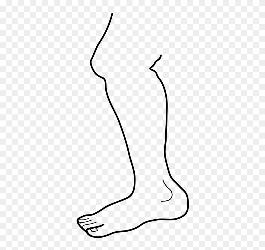 Leg Clip Art - Png Download