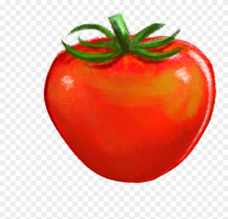After Getting All The Graphic Elements Drawn And Approved, - Plum Tomato Clipart