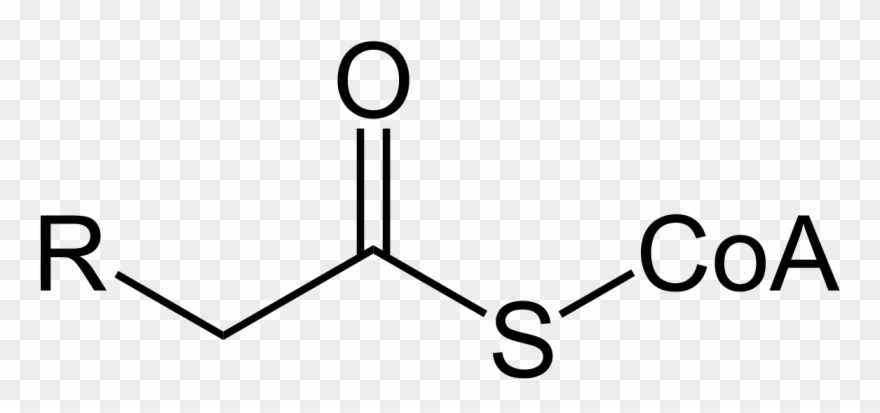 Acetyl Coa Clipart