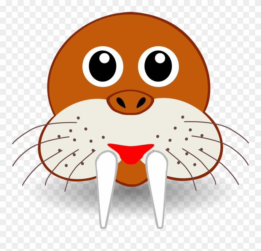 Walrus Woody Woodpecker Andy Panda Animated Cartoon - Walrus Face Clipart - Png Download