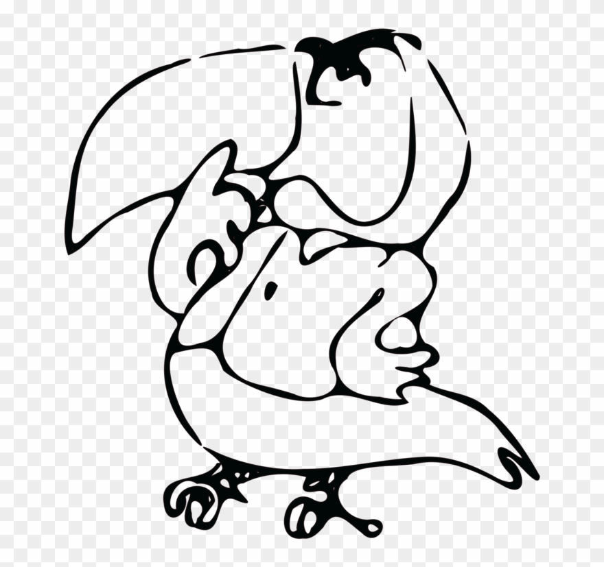 Drawing Computer Icons Line Art Black And White Toucan - Drawing Clipart