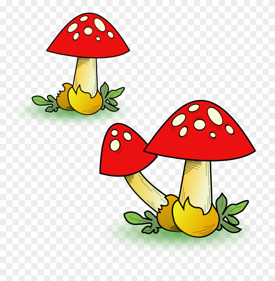 Big Image - Clip Art Mushroom Transparent - Png Download