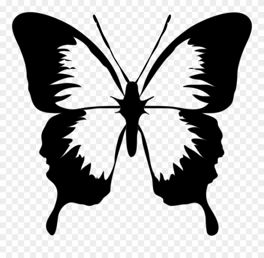 Butterfly Black And White Clip Art Black And White - Butterfly Clipart Black And White - Png Download