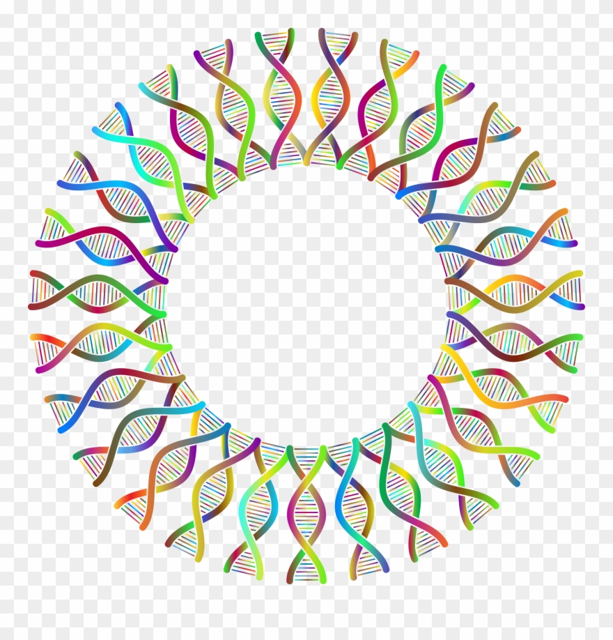 By Gdj - Kaleidoscope Vector Clipart