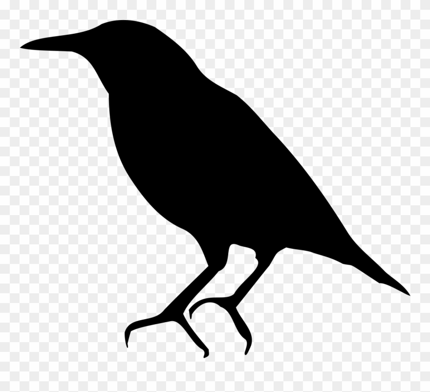 Clipart European Starling Silhouette - Png Download