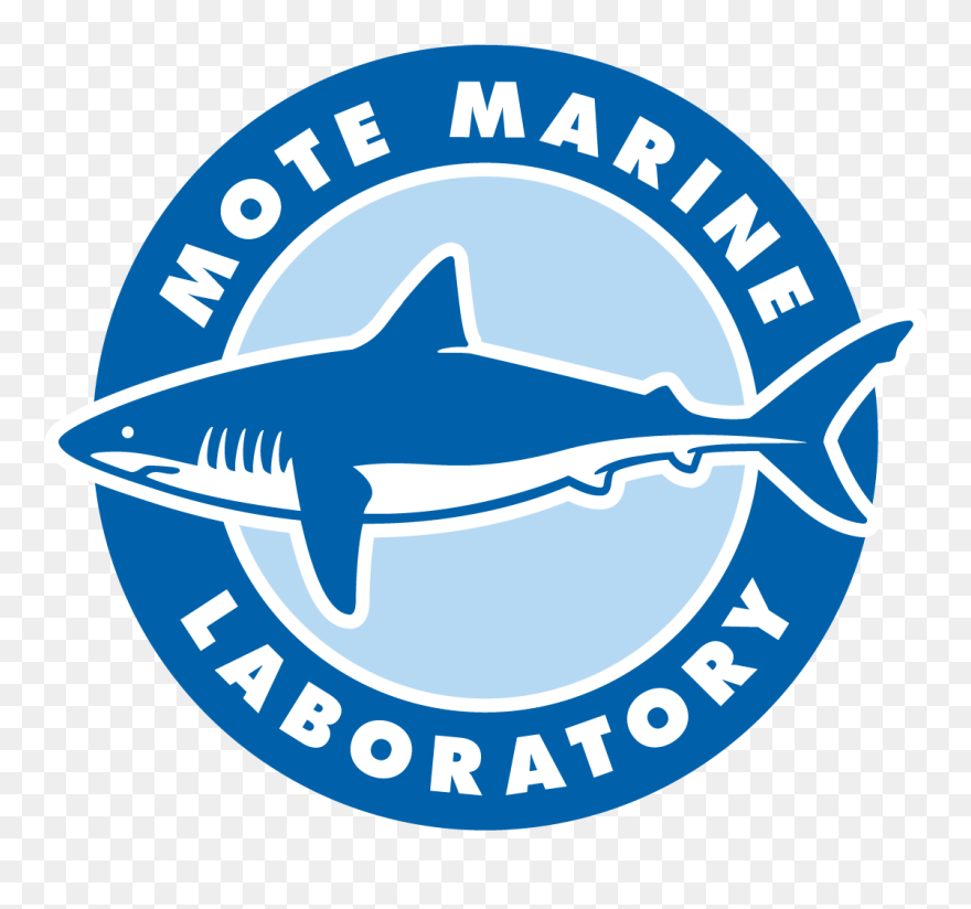 Mote Marine Laboratory Is Testing Ozone As A Way To - Mote Marine Laboratory Clipart