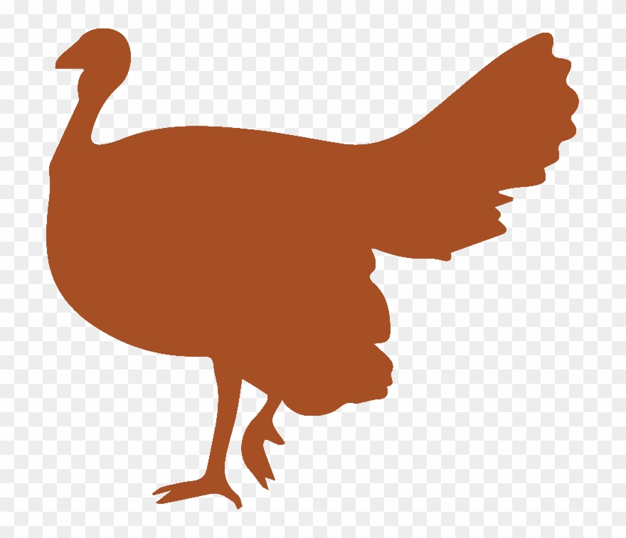 Pickup Available On - Chicken Clipart